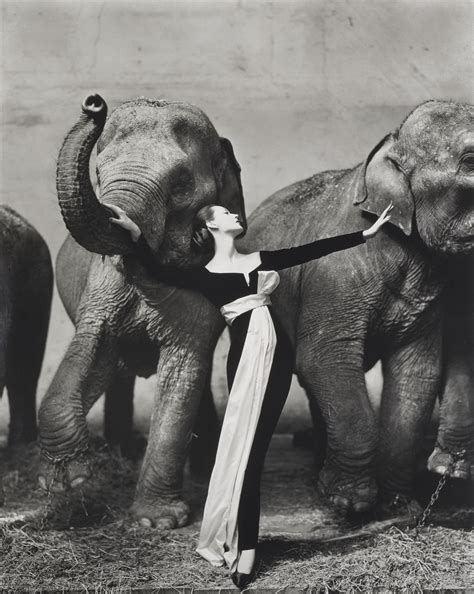 richard avedon dior elephants|Richard Avedon husband.